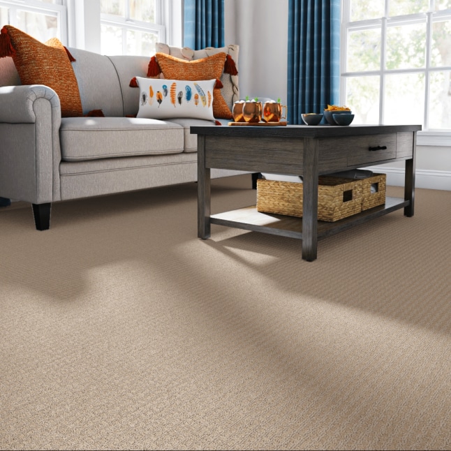 STAINMASTER 7L903 - 783 - SAMP Carpet-Samples - View #2
