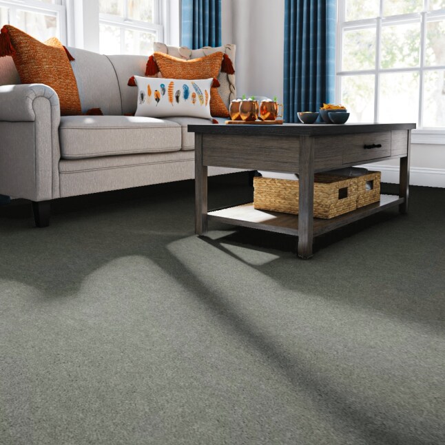 STAINMASTER STP36-L006-0808 Carpet-Samples - View #2