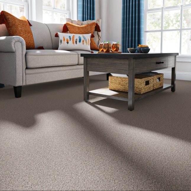 Style Selections 7L849 - 507 - SAMP Carpet-Samples - View #2
