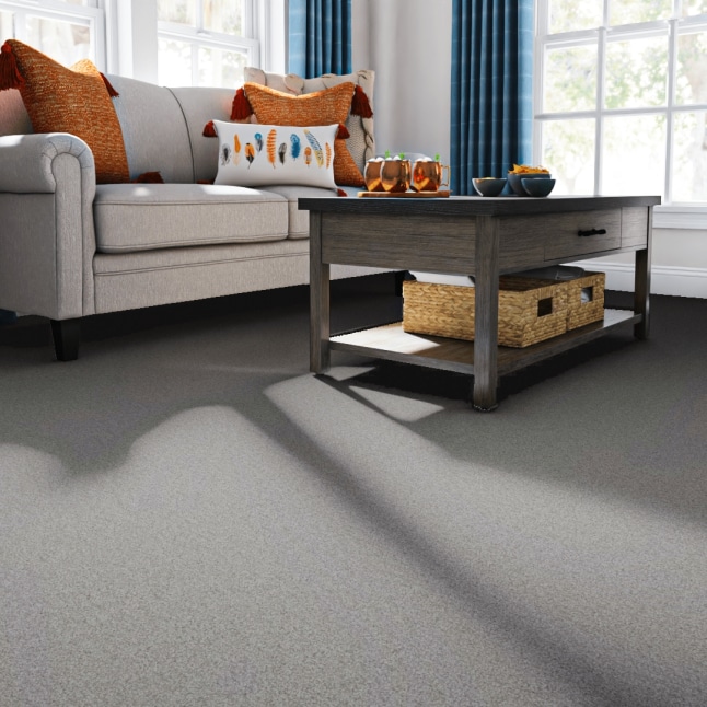 STAINMASTER 7L86900107 Carpet-Panel - View #2