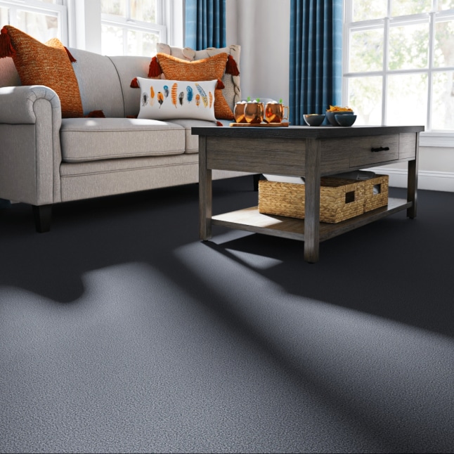 Style Selections 7GRRD670144L Carpet-Panel - View #2
