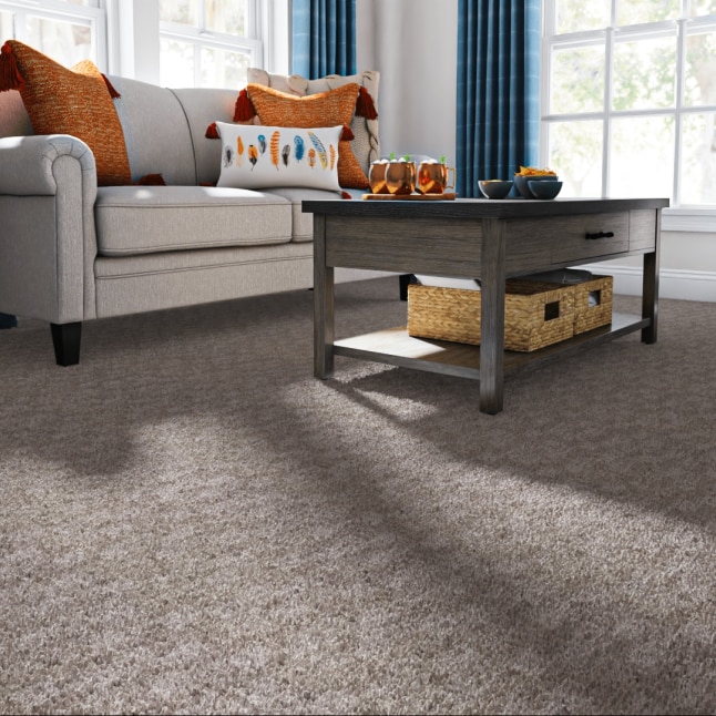 STAINMASTER LU740-9513 Carpet-Samples - View #2