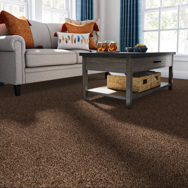 STAINMASTER S7259-108-1200-AB Carpet-Panel - View #2