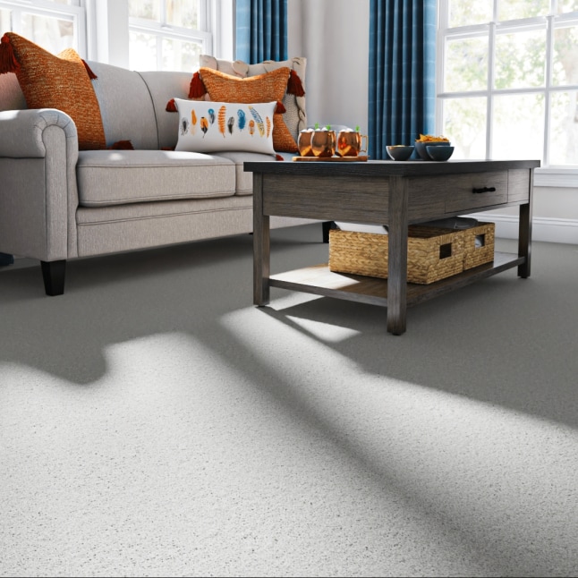 STAINMASTER 7L887 - 105 - SAMP Carpet-Samples - View #2