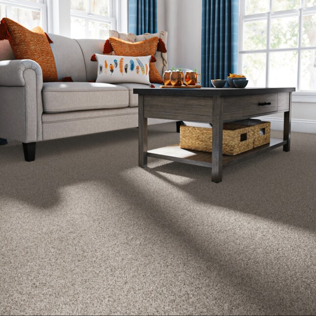 STAINMASTER 7L886 - 103 - SAMP Carpet-Samples - View #2