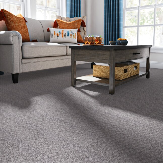 STAINMASTER LU740-9513G Carpet-Samples - View #2