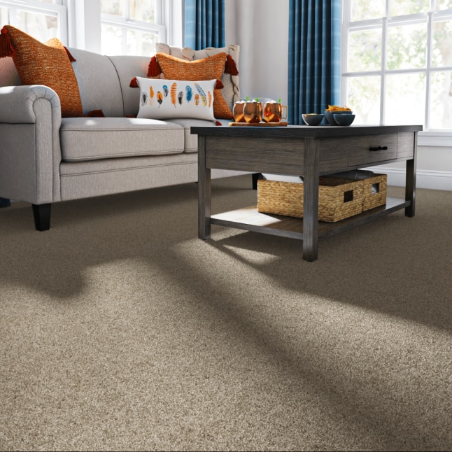STAINMASTER 7L87100111 Carpet-Panel - View #2