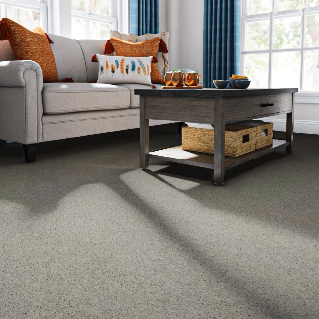 STAINMASTER SS004-12-L004 Carpet-Panel - View #2