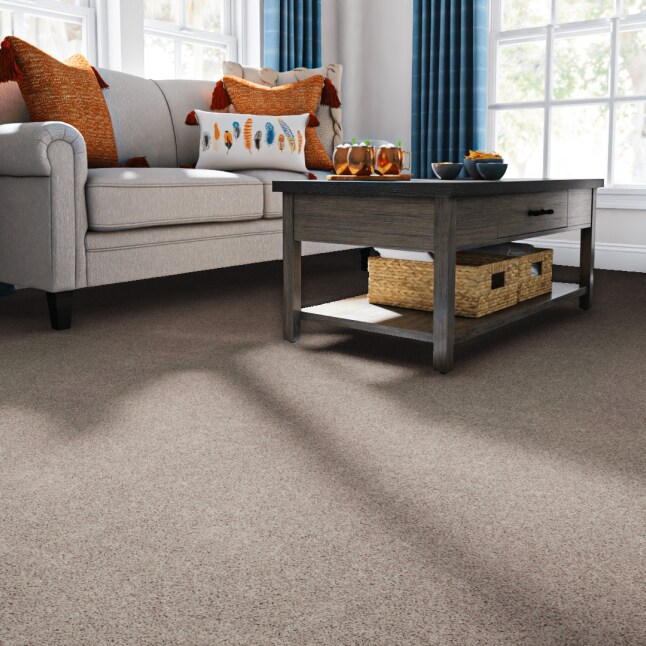 STAINMASTER LB034-12-L010 Carpet-Panel - View #2