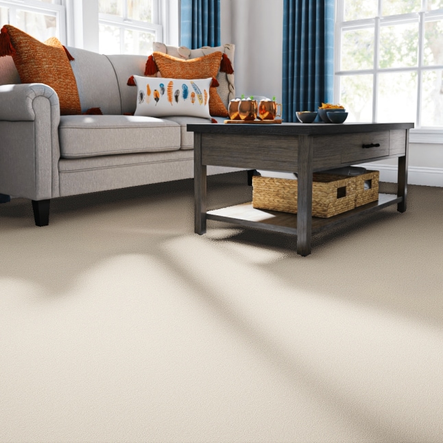 STAINMASTER PetProtect 7L88200109 Carpet-Panel - View #2