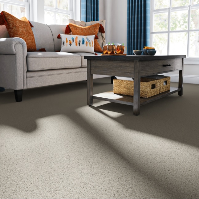 STAINMASTER PetProtect S9355-942-1200-MO Carpet-Panel - View #2