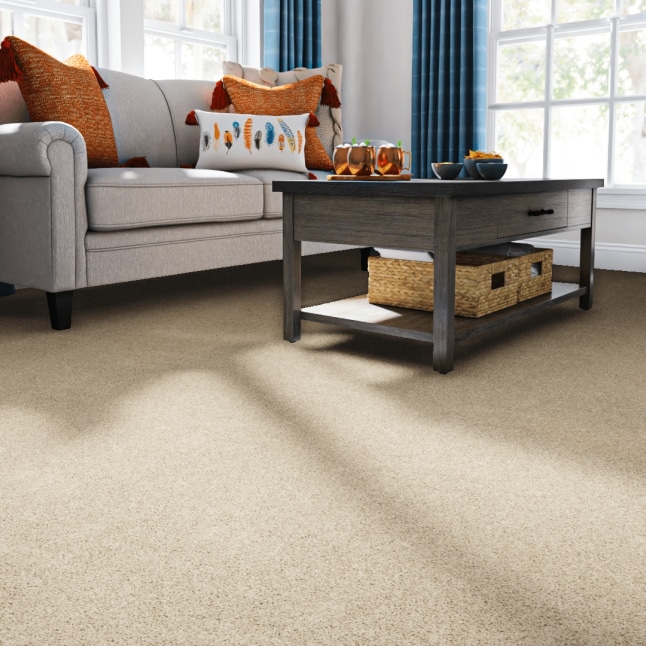 STAINMASTER S9165-844-1200-MO Carpet-Panel - View #2