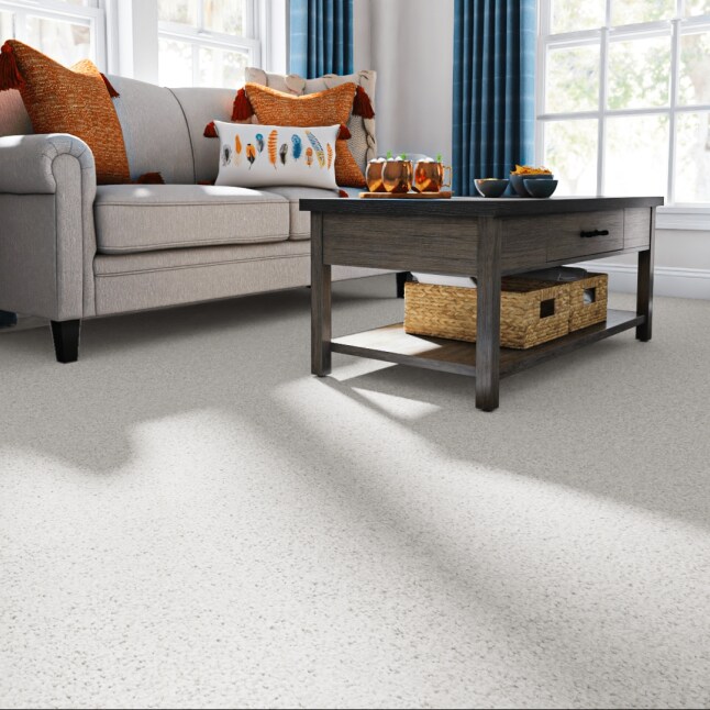 STAINMASTER 7L880 - 142 - SAMP Carpet-Samples - View #2