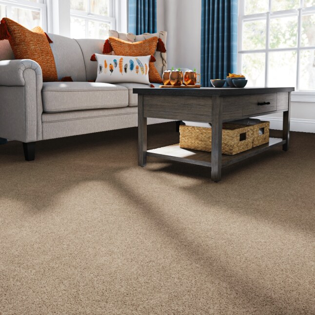 STAINMASTER STP21-L008-0808 Carpet-Samples - View #2