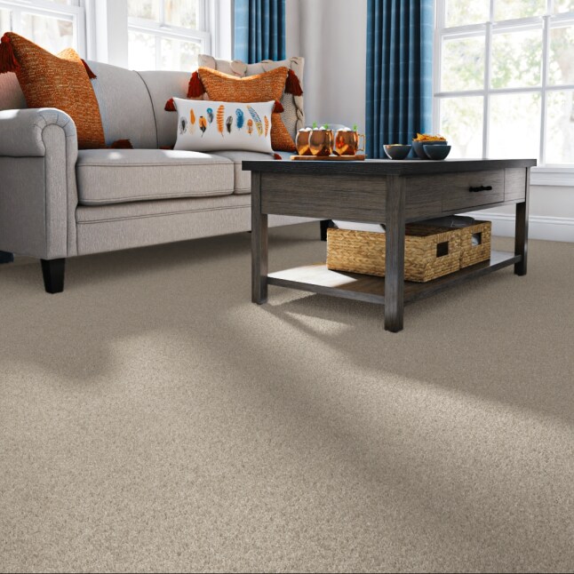 STAINMASTER 7L76700106 Carpet-Panel - View #2