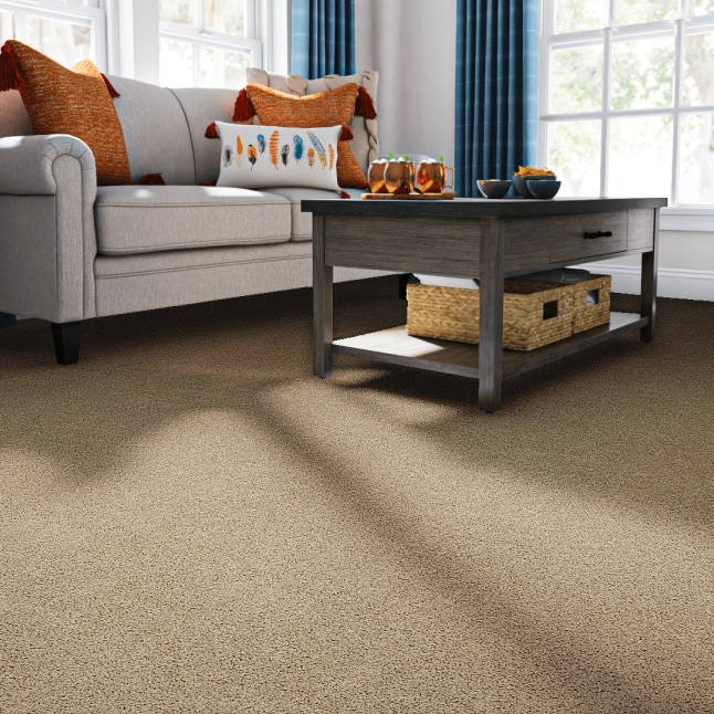 STAINMASTER STP35-12-L004 Carpet-Panel - View #2