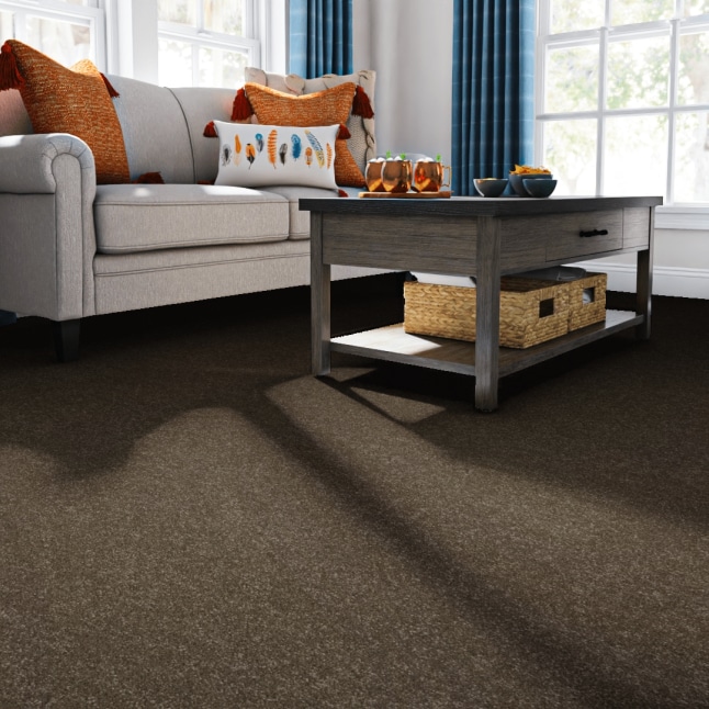 STAINMASTER 7L86100705 Carpet-Panel - View #2