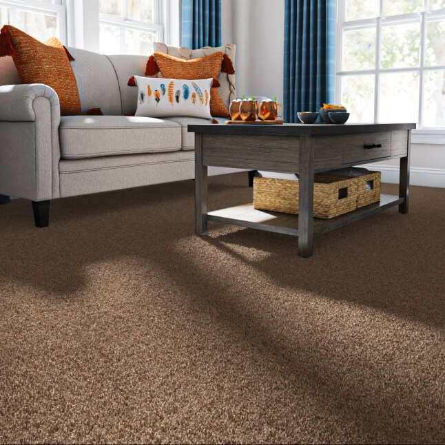  LC52-15-L006 Carpet-Panel - View #2