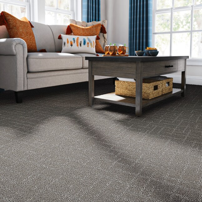 STAINMASTER PetProtect LU771-W0015-1200-AB Carpet-Panel - View #2