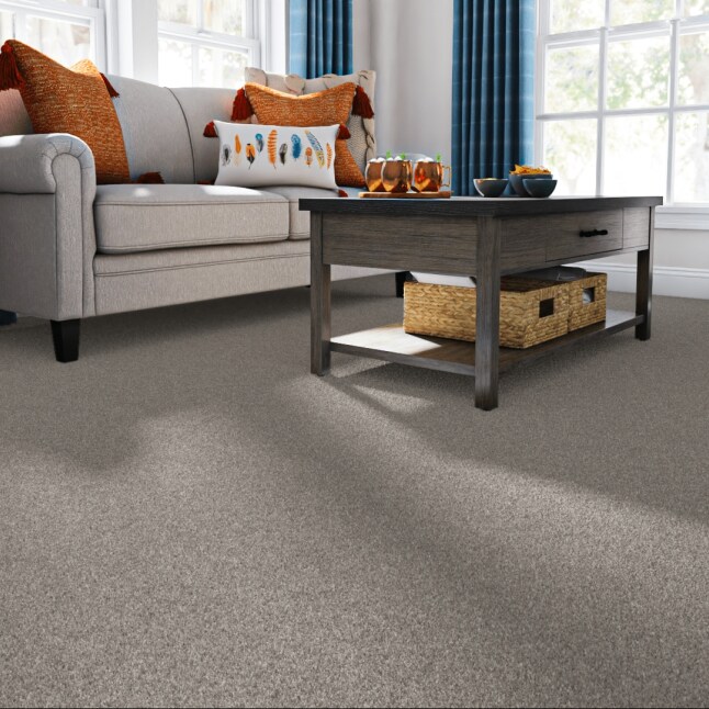 STAINMASTER 7L76800503 Carpet-Panel - View #2
