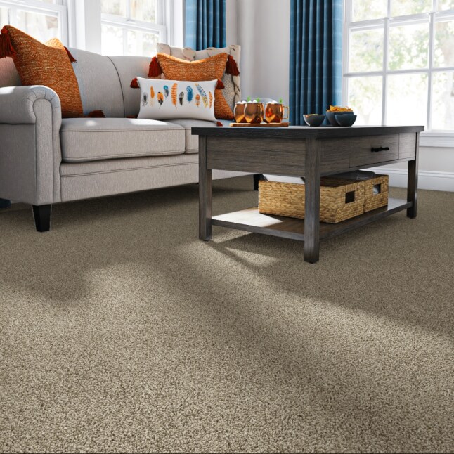STAINMASTER FB029-302-S Carpet-Samples - View #2