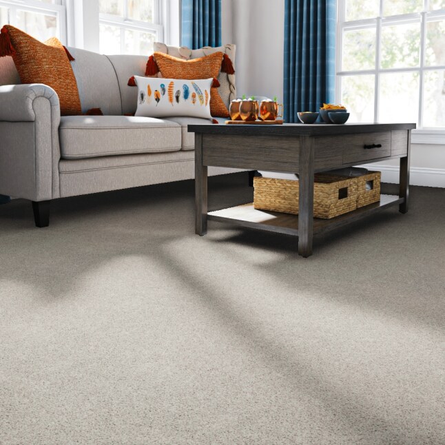 STAINMASTER PetProtect STP24-12-L011 Carpet-Panel - View #2