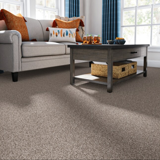 STAINMASTER 7L89700112 Carpet-Panel - View #2
