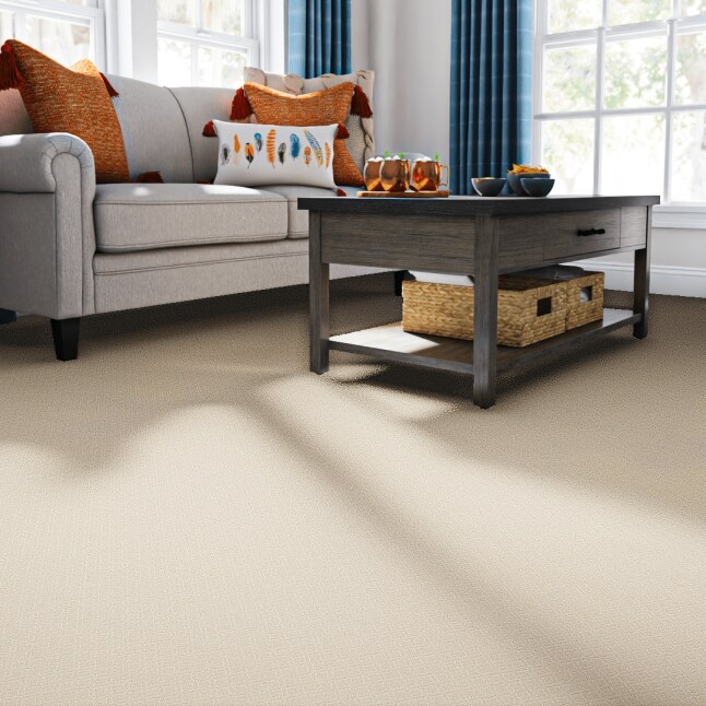 STAINMASTER PetProtect 7L901 - 113 - SAMP Carpet-Samples - View #2