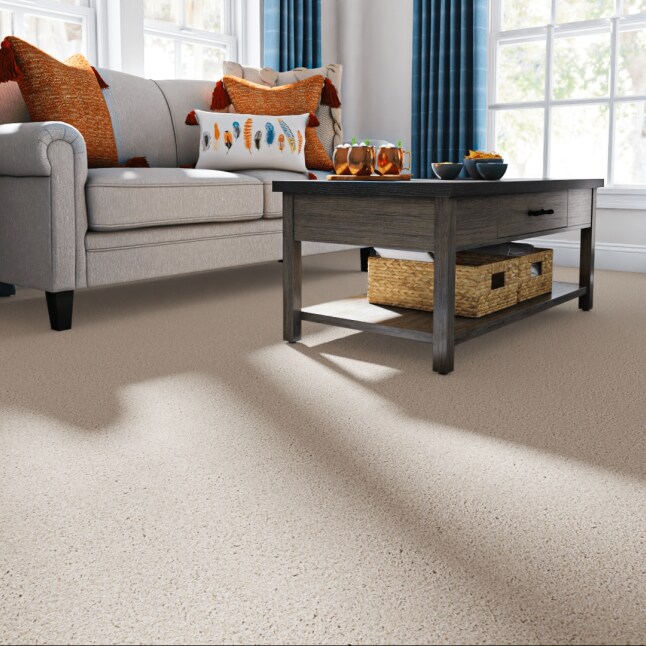 Style Selections CCV06-12-L013 Carpet-Panel - View #2