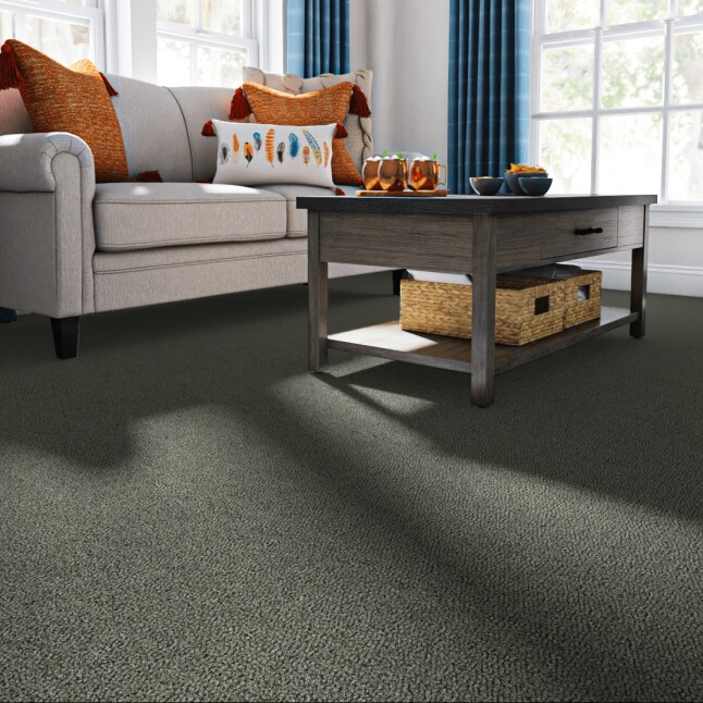 Style Selections 7L68900500 Carpet-Panel - View #2