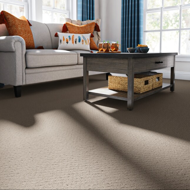 STAINMASTER PetProtect 7L899 - 754 - SAMP Carpet-Samples - View #2