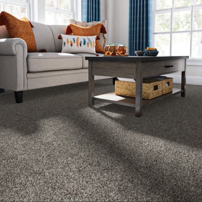 STAINMASTER LU483-W0152-1200-AB Carpet-Panel - View #2