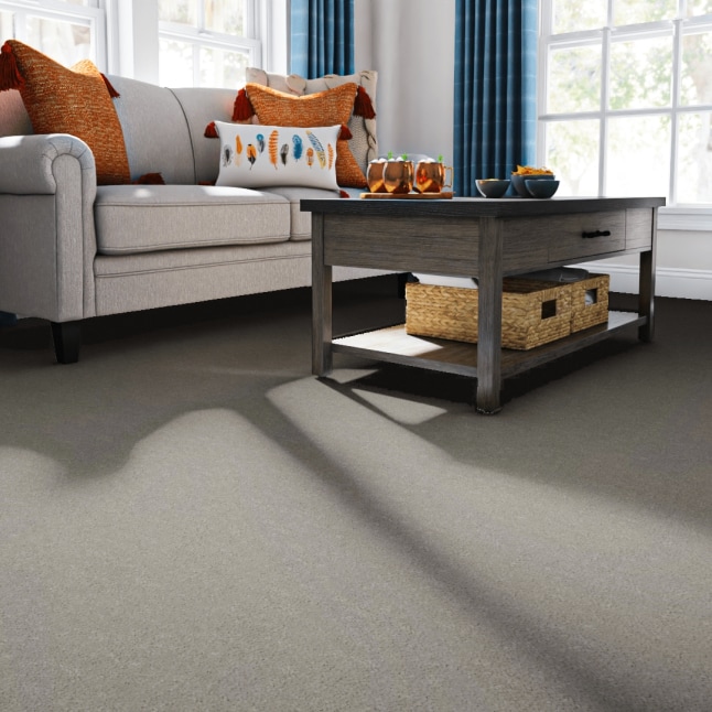 STAINMASTER 7L76800103 Carpet-Panel - View #2