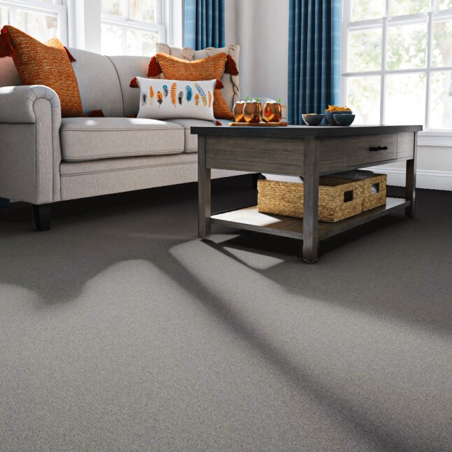 STAINMASTER PetProtect 7L90700128 Carpet-Panel - View #2