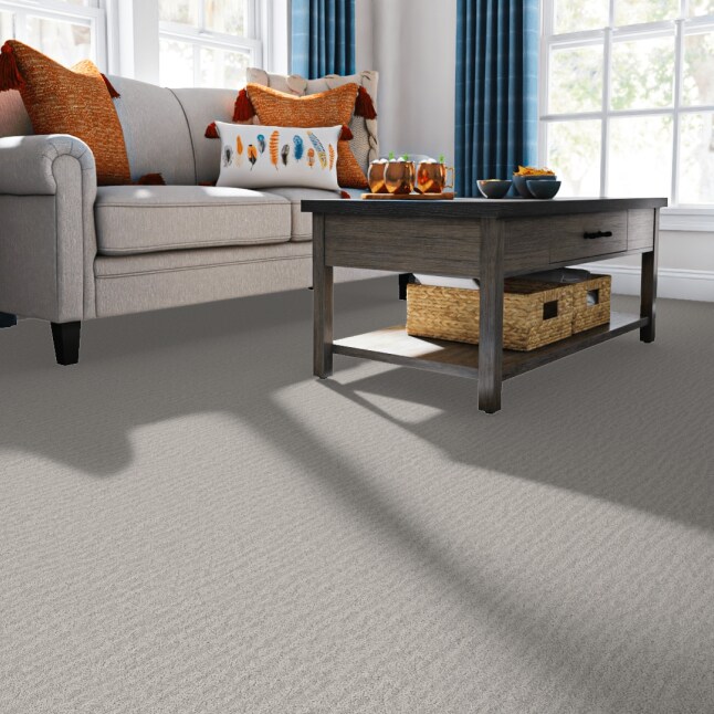 STAINMASTER PetProtect 7L93300510 Carpet-Panel - View #2
