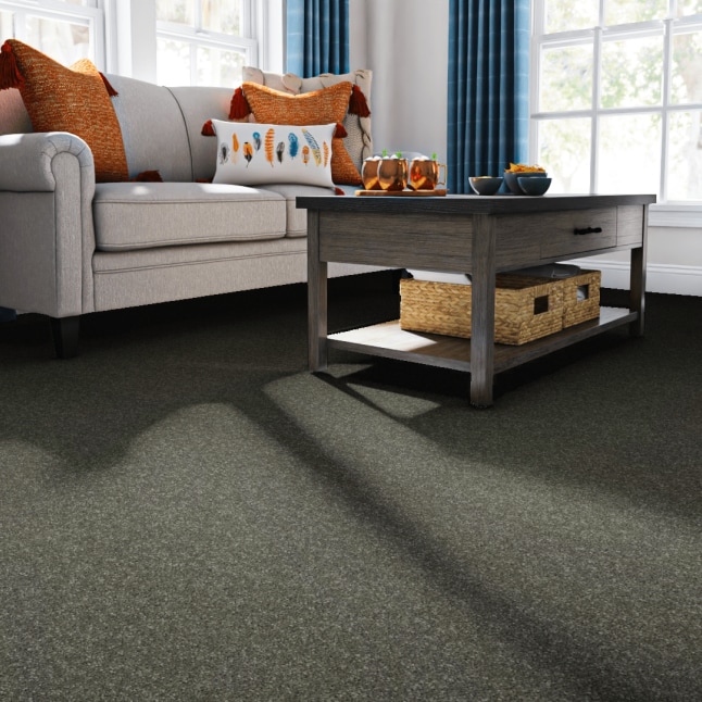 STAINMASTER 7L87200703 Carpet-Panel - View #2