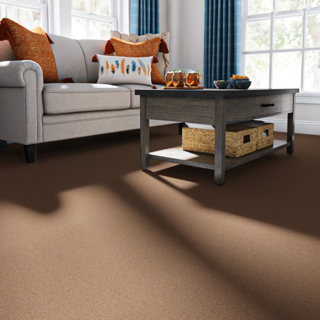 Mohawk LC53-L007-0808 Carpet-Samples - View #2