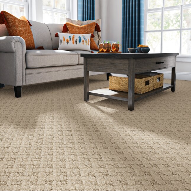 STAINMASTER STP63-L010-0808 Carpet-Samples - View #2