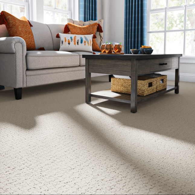 STAINMASTER PetProtect 7L85400104 Carpet-Panel - View #2