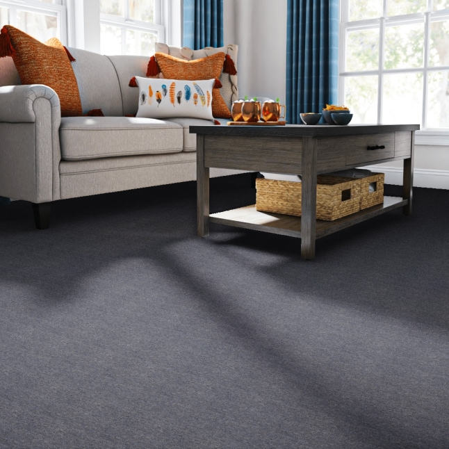  LC51-12-L003 Carpet-Panel - View #2
