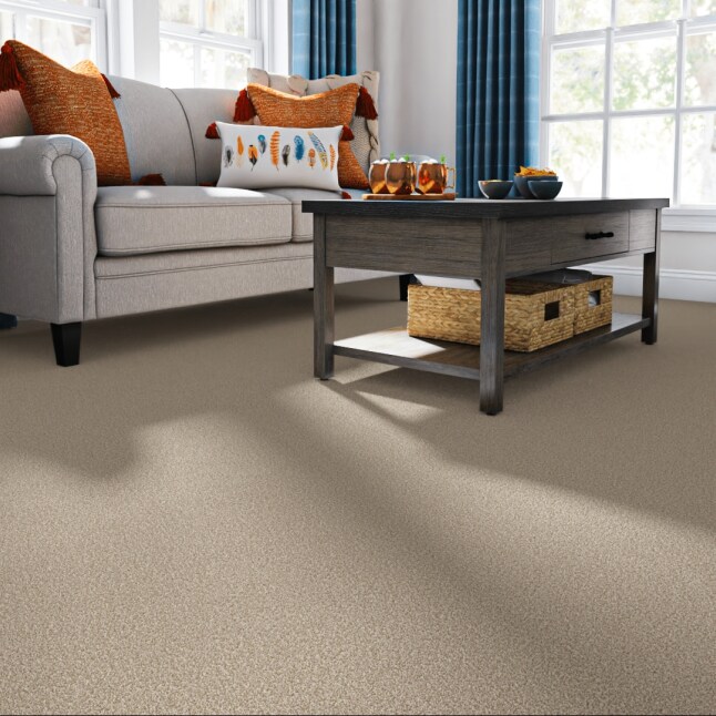 STAINMASTER PetProtect 7L860 - 734 - SAMP Carpet-Samples - View #2