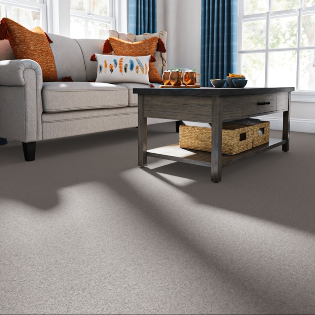 Style Selections 7L84700541 Carpet-Panel - View #2