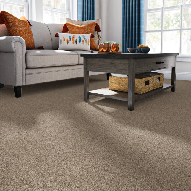 STAINMASTER PetProtect 7L87900720 Carpet-Panel - View #2