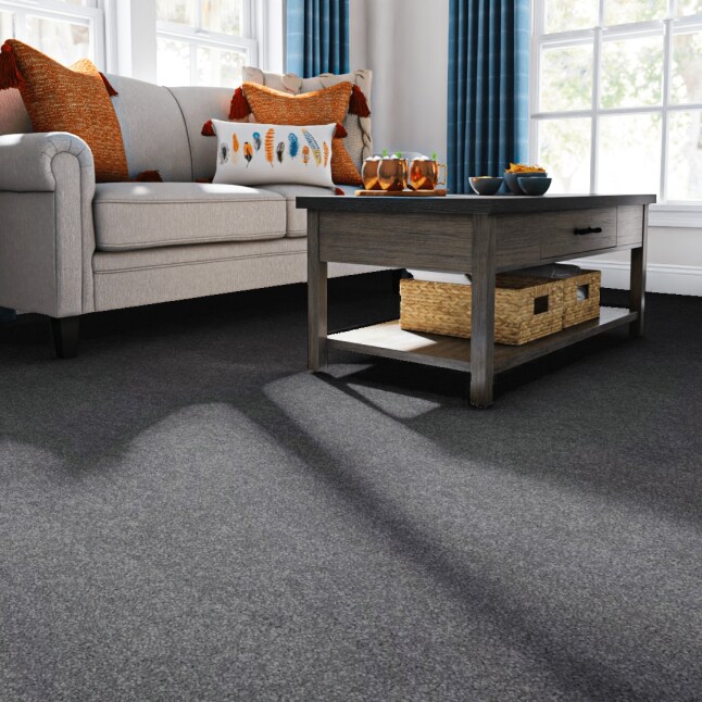STAINMASTER PetProtect 7L88100502 Carpet-Panel - View #2