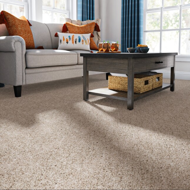 Style Selections CCV05-12-L014 Carpet-Panel - View #2