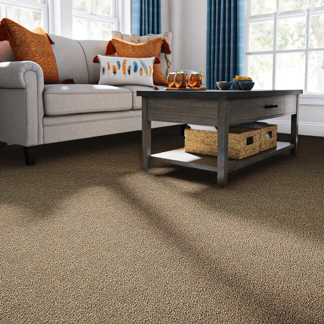 STAINMASTER LW185-12-L012 Carpet-Panel - View #2