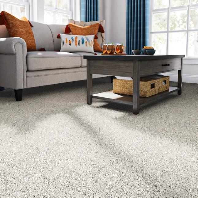 STAINMASTER PetProtect STP24-12-L003 Carpet-Panel - View #2