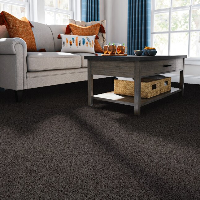 STAINMASTER S8764-959-S Carpet-Samples - View #2