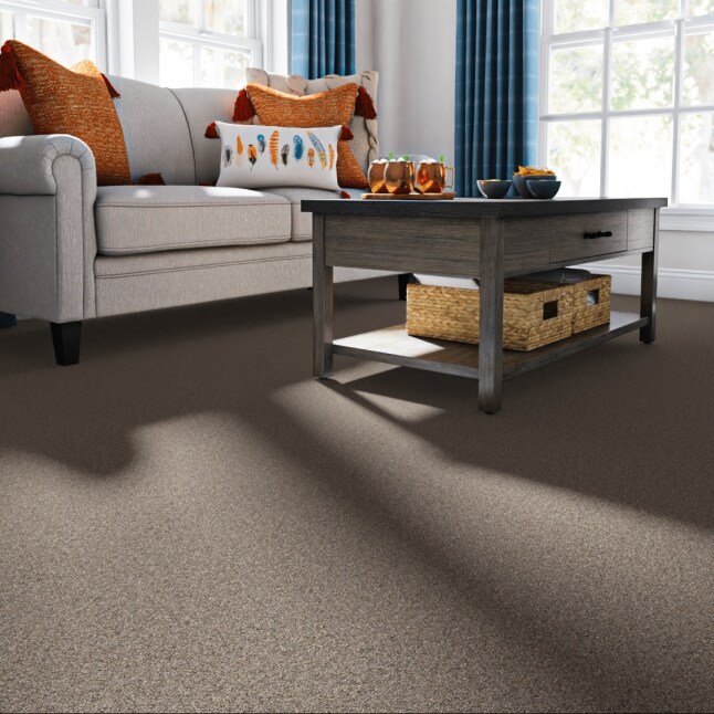 Style Selections 7L84900511 Carpet-Panel - View #2
