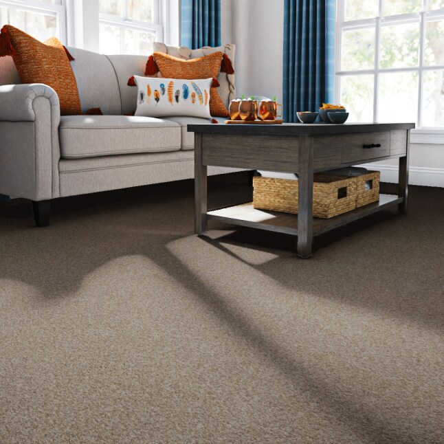 STAINMASTER PetProtect 7L86000623 Carpet-Panel - View #2